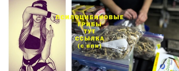 шишки Богородицк