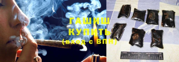 шишки Богородицк